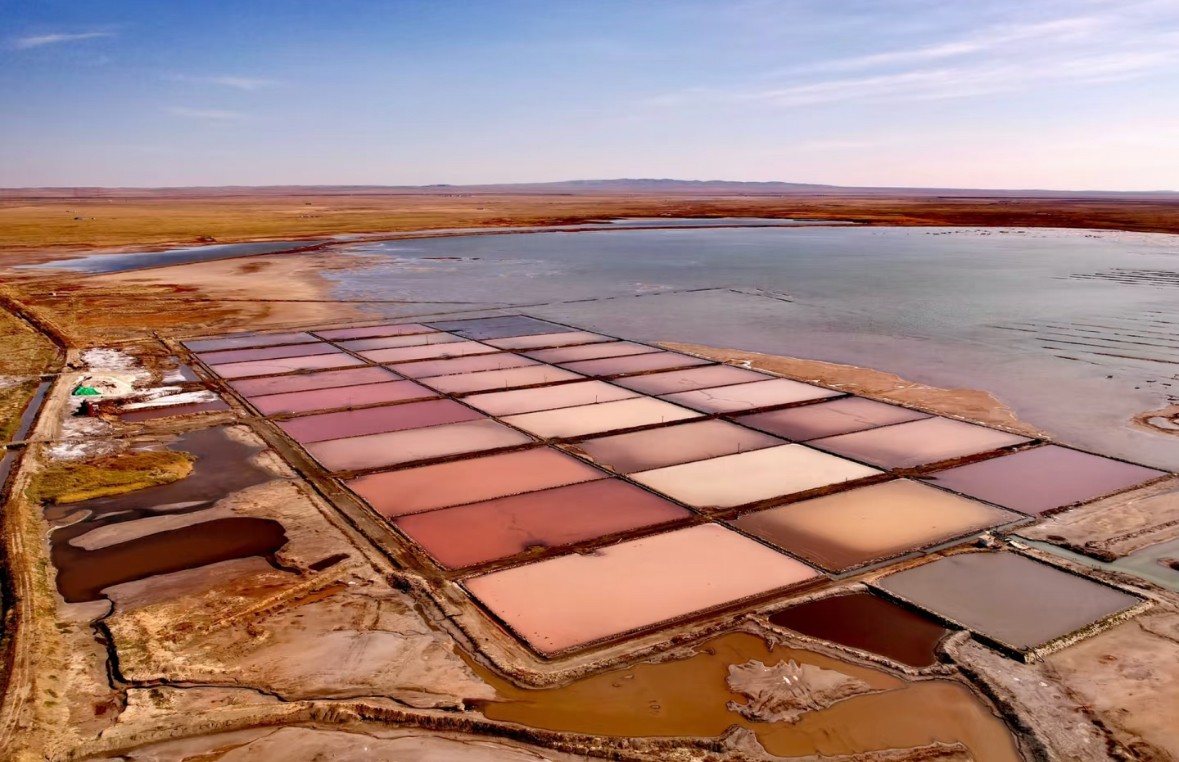 关于额吉淖尔大青盐地理标志品牌提升与推广过程中的创新产出与高质量专利布局技术服务网上比价采购公告