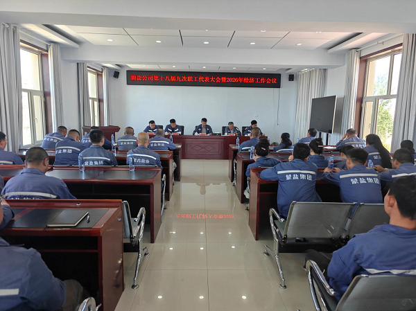 额吉淖尔制盐有限公司召开第十八届七次会员代表大会、第十八届九次职工代表大会暨2026年经济工作会议
