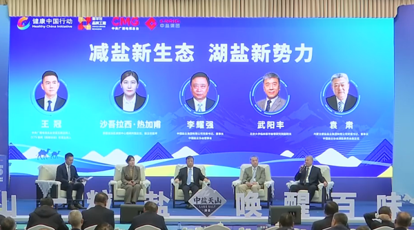 袁肃参加2025“健康中国 减盐行动”主题会议 暨中盐天山湖盐新产品发布会